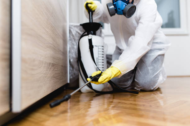 Best Best Pest Control Companies  in Random Lake, WI