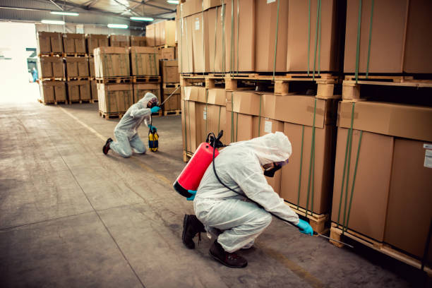 Best Pest Inspection Near Me  in Random Lake, WI