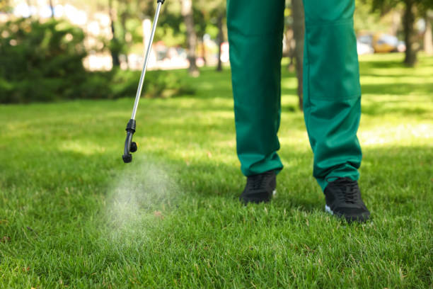 Best Commercial Pest Control Services  in Random Lake, WI