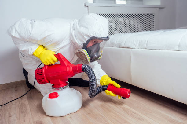 Trusted Random Lake, WI Pest Control Experts