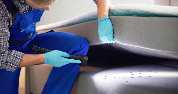 Best Ant Control Services  in Random Lake, WI