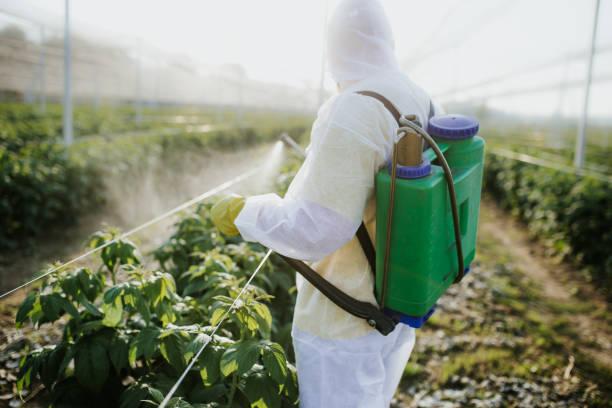 Best Affordable Pest Control Services  in Random Lake, WI